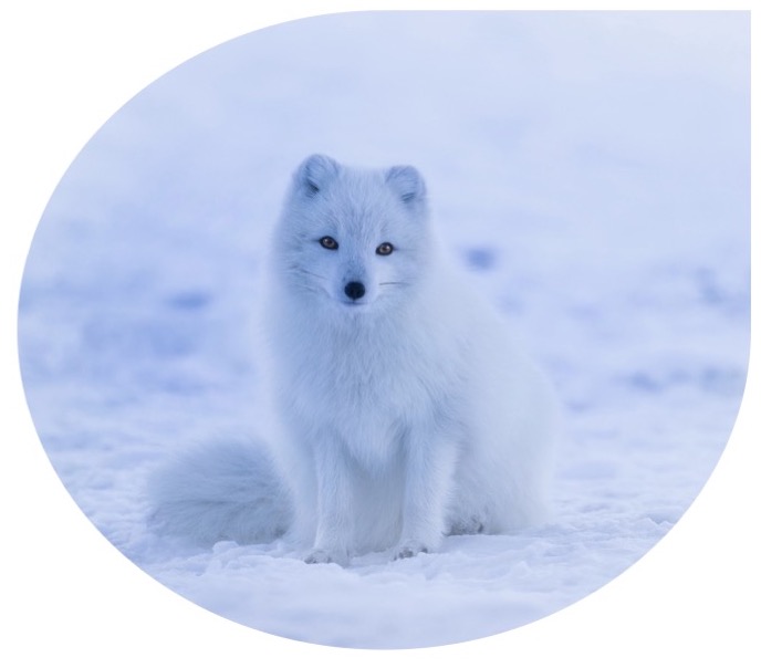 Machine learning evolution offers another way
